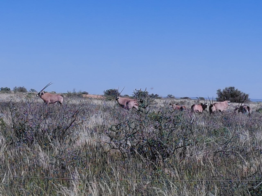 Commercial Property for Sale in Augrabies Northern Cape